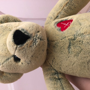 韩国济州岛泰迪熊joanne bear