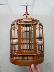 yangqingxiang120淘宝画眉鸟笼子水果叉八哥笼鹩哥笼蔬菜叉鸟用具