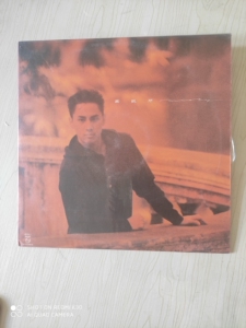 黄凯芹 misty 伴侣专辑lp