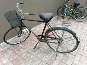 品牌型号: 金狮26寸.横梁自行车