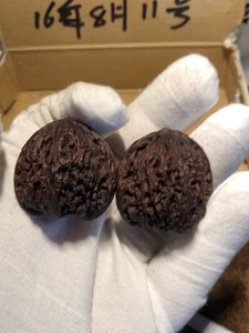 地闷核桃 地闷子 精品野生小众 文玩核桃 地闷落地黑 玛瑙红