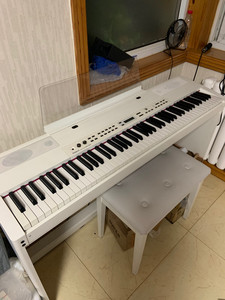 罗兰电子钢琴mp100,带椅子.原本买回来想学琴的,可没坚持