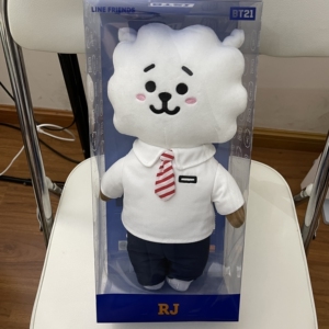 【出】防弹少年团金硕珍bt21校服rj中号中型站立玩偶公仔