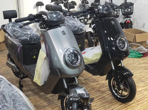 全新新蕾小炫悦国标电动车.可上牌  无需驾驶证.喜欢的私聊