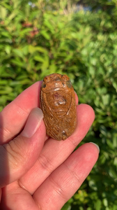 籽料知了挂件金蝉子特色新疆和田玉籽料石包玉俏色雕刻一鸣惊人吊