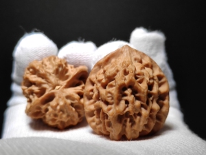 秦闷狮子头秦岭文玩核桃