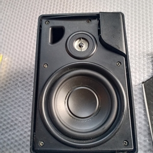 拒说是美国的advent雅韵壁挂音箱一只 实拍图,成色相当好