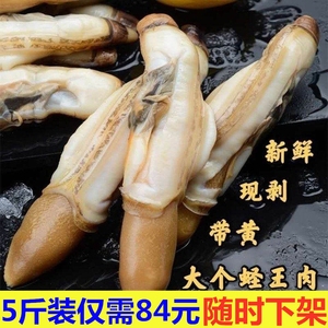 5斤新鲜称王肉野生蛏子肉竹蛏肉鲜活冷冻贝类海鲜水产
