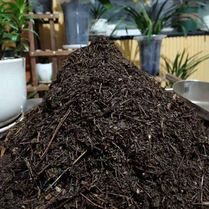 天然松针腐殖土10斤腐熟松针兰花君子兰杜鹃蓝莓茶花专用土酸性