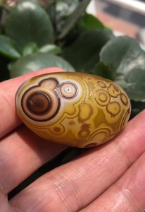 天然花眼玛瑙 黄金兔 色彩艳丽 45克 规格:*45mm*