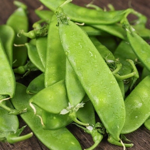 荷兰豆云南山区新鲜农家蔬菜碗豆扁豆豆角现摘现发