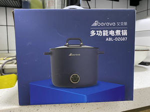 艾贝丽多功能电煮锅 公司年会发的 全新未使用