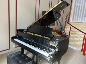 海伦150se三角架钢琴