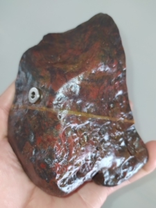 红天宝 伊丁陨石 金刚巧石 原石摆件 重量922克,尺寸