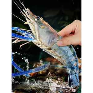 罗氏虾沼虾新鲜大虾速冻大头鲜虾巨型基围虾超大海鲜水产鲜活虾类