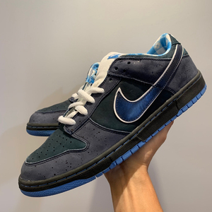 nike dunk sb low lobster 蓝龙虾