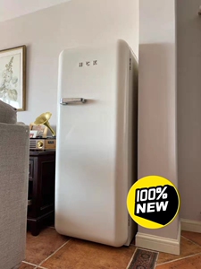 (官方直发)全新hck哈士奇复古冰箱客厅家用单门大容量冷藏冷