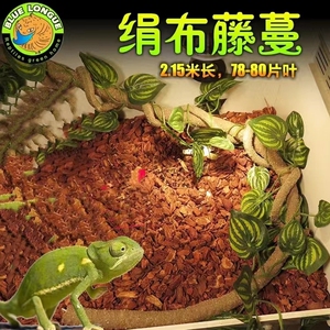 爬虫饲养高箱仿真树藤配饰植物藤蔓攀爬造景蜥蜴高冠变色龙造景
