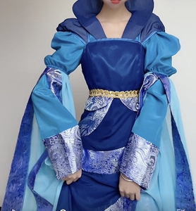龙葵女古装仙剑奇侠传同款广袖流仙裙刘诗诗同款cos演出服