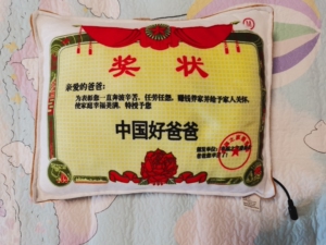 中国好爸爸奖状按摩抱枕,100包邮,礼盒包装全在.