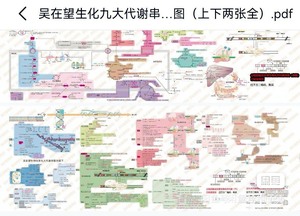 吴在望 生化九大代谢图