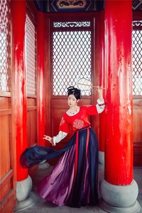 南风汉韵丨原创传统汉服 以梦为马 团花 唐风坦领分片裙舞蹈风