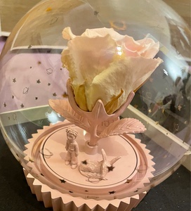 thebeast野兽派小王子音乐水晶球玻璃玫瑰永生花圣诞礼物