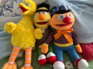 优衣库xkawsx芝麻街三方联名合作款公仔正品