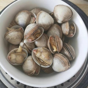 5斤丹东大白蚬子白蛤蜊冷冻开袋即食文贝海蛤蜊花甲海鲜水产贝类