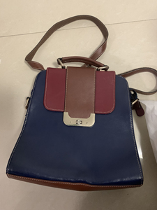 温莎真皮女包 可双肩背 可单肩背 7成新 买了没怎么背 40