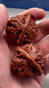 文玩核桃 纯手盘的 可不是药核 不是大宝化妆核  没进过油锅