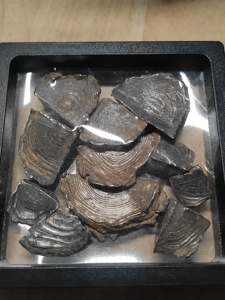 清代银锭子碎银子一组,清代银器银饰老银器老银饰银锭宰块,包老