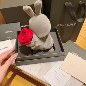 roseonly玫瑰公仔 站立甜心兔永生玫瑰花礼盒 送女友礼