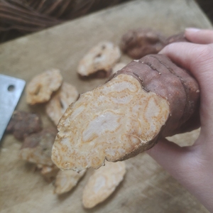 【何首乌切片】何首乌切片品牌,价格 - 阿里巴巴