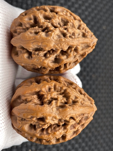 秋子楸子野生文玩核桃粗筋玲珑塔牛筋红蜡皮皮质六面图编号367