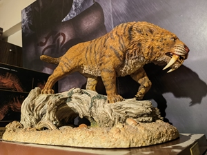 880人付款淘宝动物模型重涂【血牙剑齿虎】非gk,非papo,非思乐,非泰美