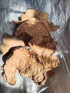 沂蒙山特产野生何首乌切片自然晒干特价19.9元250克,30