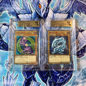 【游戏王】wcs2018青眼白龙&黑魔导