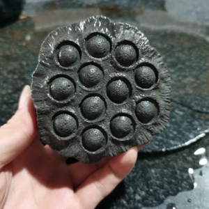 荷花莲蓬茶宠摆件天然火山岩石头雕刻