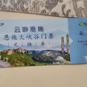 恩施大峡谷门票 只有 1张