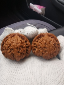 九山顶望月狮子头