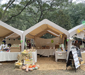 户外帐篷租赁及出售,市集软装供应商,材质镀锌钢管,定位广东广