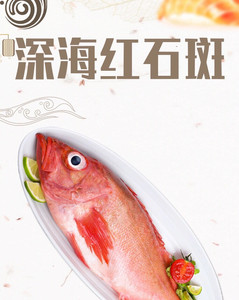 红石斑鱼(低至11.5元一斤 )冷冻整条野生大龙胆鱼富贵鱼活