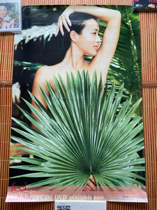 钟丽缇feel 纯影写真集制作专辑 宣传海报