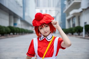 工作细胞红细胞幼年红血球cos