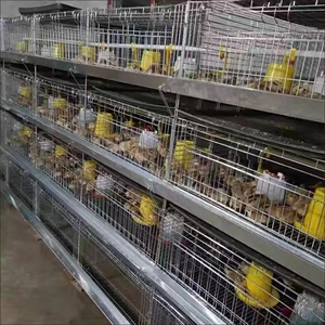 加粗加密雏鸡笼小鸡笼子立体鸡笼多层四层