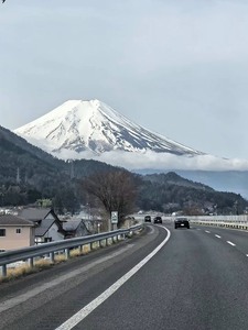 日本全境东京富士山拼车包车一日游（富士山/五合目/忍野八海/