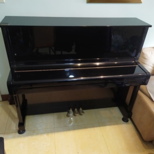 000人付款淘宝伯格曼钢琴b121海顿奏鸣曲7800.