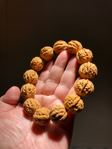 龙脊背小核桃手串,边22肚23高23,全品无瑕,标价实价直接