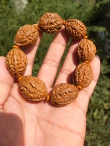 蛤蟆背小秋子手串 异性大枣小秋子手串 瓜条脖挂 小秋子山核桃